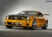 [obrazky.4ever.sk] ford, mustang, tunning, auto 6343610.jpg